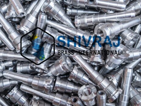 Stainless Steel Precision turned Components - CNC Turned Stainless Steel Parts - Shivraj Brass International